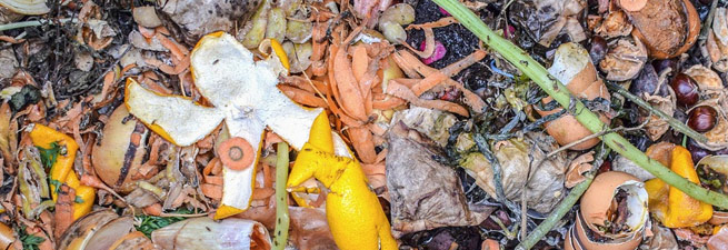 organic-waste Organic waste